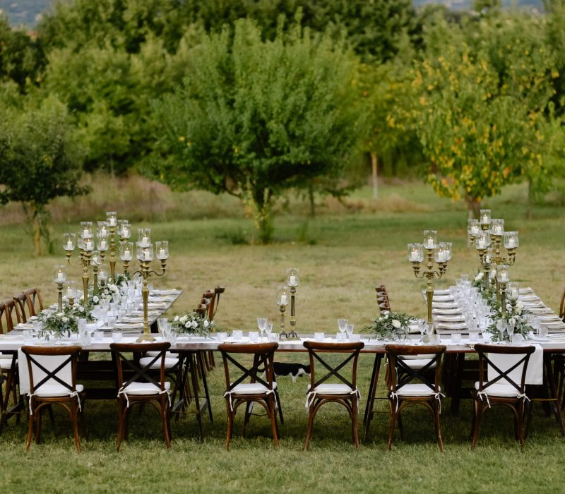 Top view of decorated with minimal floral bouquets and candles wedding celebration table with chiavari seats outdoors in the gardens in front of fruits trees